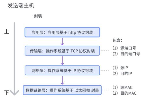 網絡通信基石 核心設備、關鍵技術及技術服務全景解析